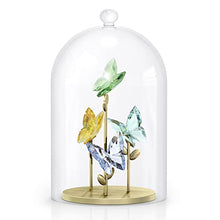 Load image into Gallery viewer, Swarovski Crystal Jungle Beats Butterfly Bell Jar 5619219