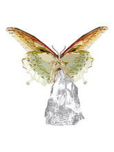 Load image into Gallery viewer, Swarovski 5650796 Idyllia Butterfly Designer: Martin Zendron MSRP $380