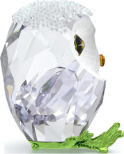 Load image into Gallery viewer, Swarovski Crystal Idyllia Baby Owl Figurine 5684483