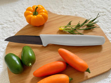 Load image into Gallery viewer, Victorinox Paring Knife 5.0307.S – 2.25" Stainless Steel Blade Set of 2