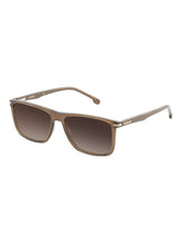 Load image into Gallery viewer, Carrera 298/S Men's Polarized Brown Phantos 57-16-145 Sunglasses MSRP $165