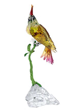 Load image into Gallery viewer, Swarovski 5646611 Idyllia Cockatoo Designer: Martin Zendron MSRP $1150
