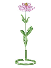 Load image into Gallery viewer, Swarovski 5668065 Florere Peony Designer Michele Blasilli MSRP $320
