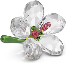 Load image into Gallery viewer, Swarovski Crystal Small Florere Hibiscus Figurine 5690534
