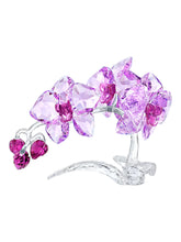 Load image into Gallery viewer, Swarovski 5520373 Crystal Flowers Orchid Designer: Martin Zendron MSRP $770
