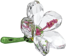 Load image into Gallery viewer, Swarovski Crystal Small Florere Hibiscus Figurine 5690534
