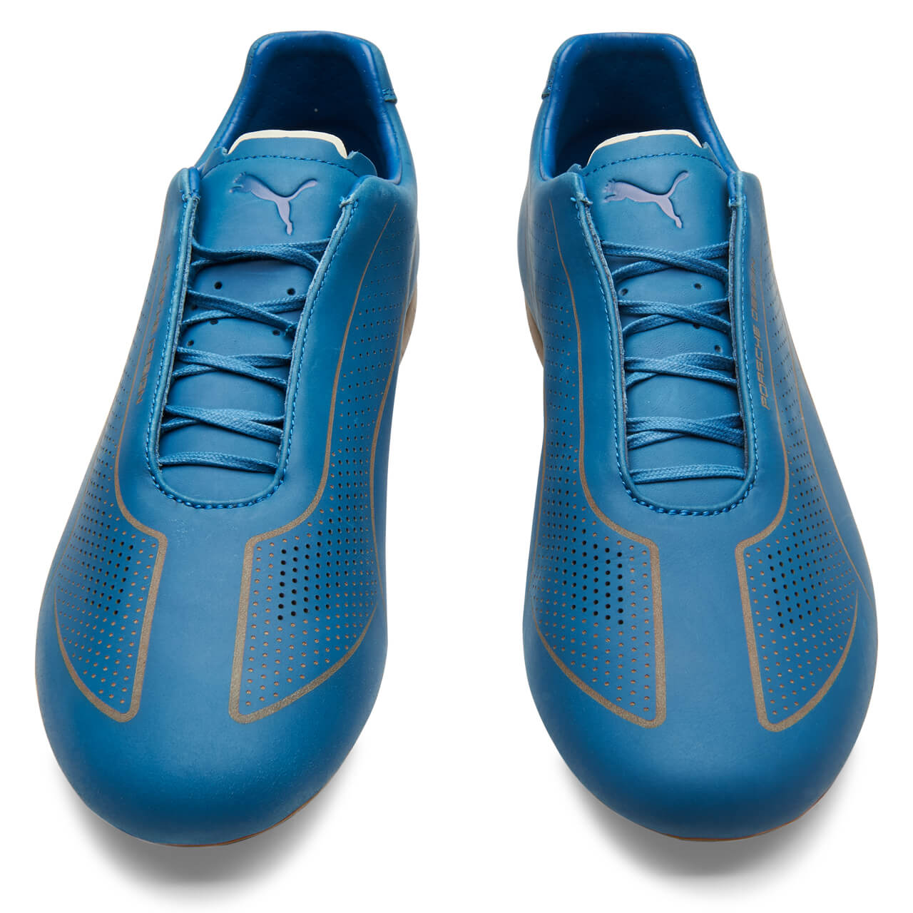 Speedcat lux online